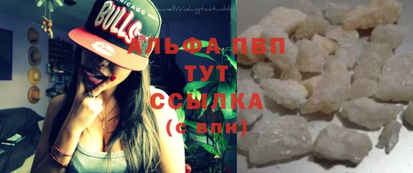 стафф Зерноград