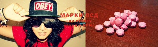 ПСИЛОЦИБИНОВЫЕ ГРИБЫ Зеленодольск