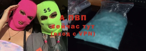 ПСИЛОЦИБИНОВЫЕ ГРИБЫ Зеленодольск