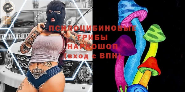 стафф Зерноград