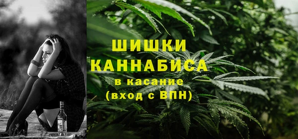 ПСИЛОЦИБИНОВЫЕ ГРИБЫ Зеленодольск
