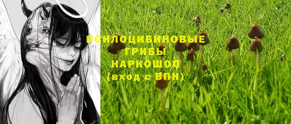 ПСИЛОЦИБИНОВЫЕ ГРИБЫ Зеленодольск